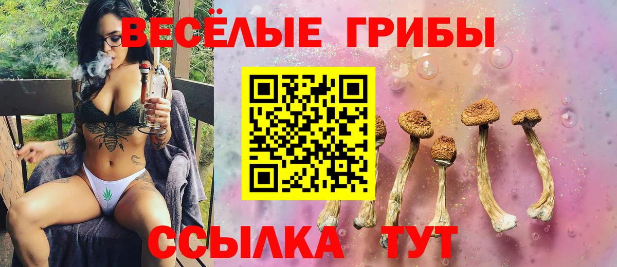Бугуруслан  Псилоцибиновые грибы MAGIC MUSHROOMS  Вход с VPN 