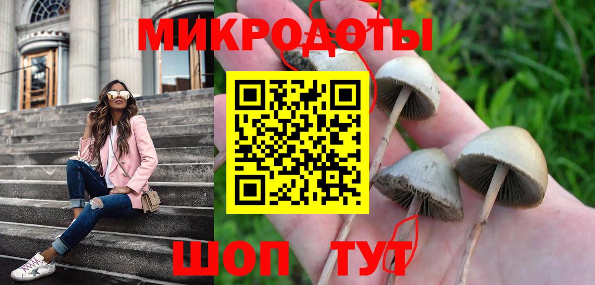 Галлюциногенные грибы мицелий Бугуруслан